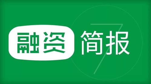 科技行業(yè)動(dòng)態(tài) 并購與估值引領(lǐng)網(wǎng)絡(luò)科技研發(fā)新浪潮