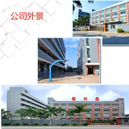 網(wǎng)絡(luò)科技研發(fā) 塑就未來，智造精工